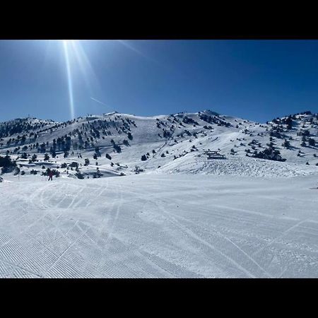 U061 - Grand Studio Renove - Vue Montagne Greolieres Exterior photo
